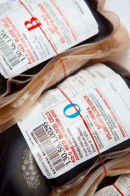 darování krve