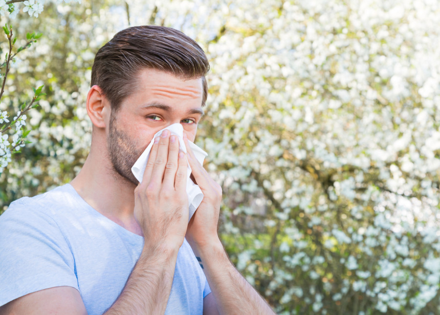 Pylová sezóna začíná: Jak si poradit s alergií?